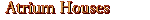 Atrium Houses